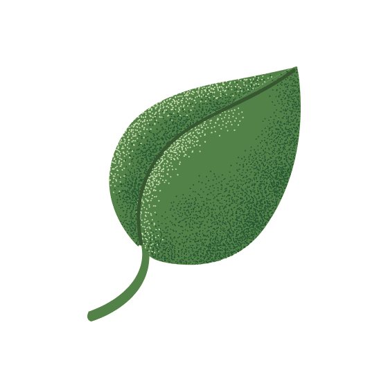 Green Leaf Graphic Green Leaf Graphic